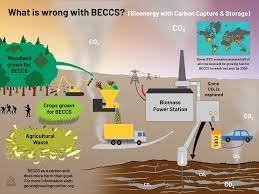 Bioenergy with Carbon Capture and Capacity (BECCS)