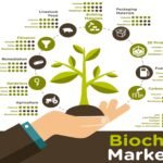 best uses for biochar and help or harm the earth